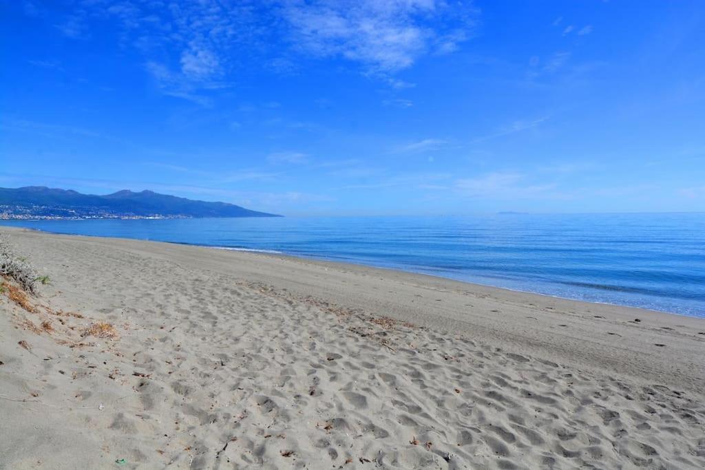 5 Min Des Plages - Appt 2 Chambres A Casa Bella Lucciana  Exterior foto